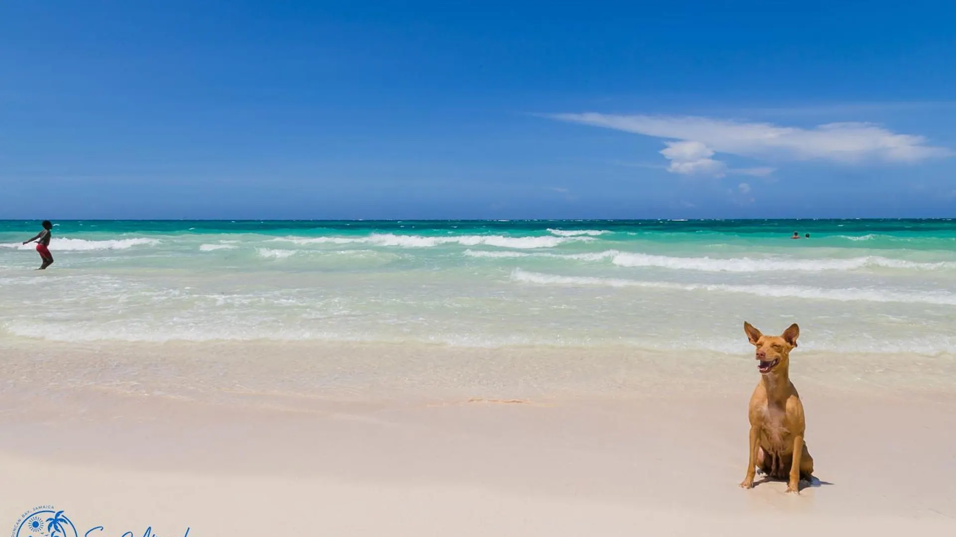 بيت للعطل Sea Miracle Villa/Beach Cottage Silver Sands جامايكا